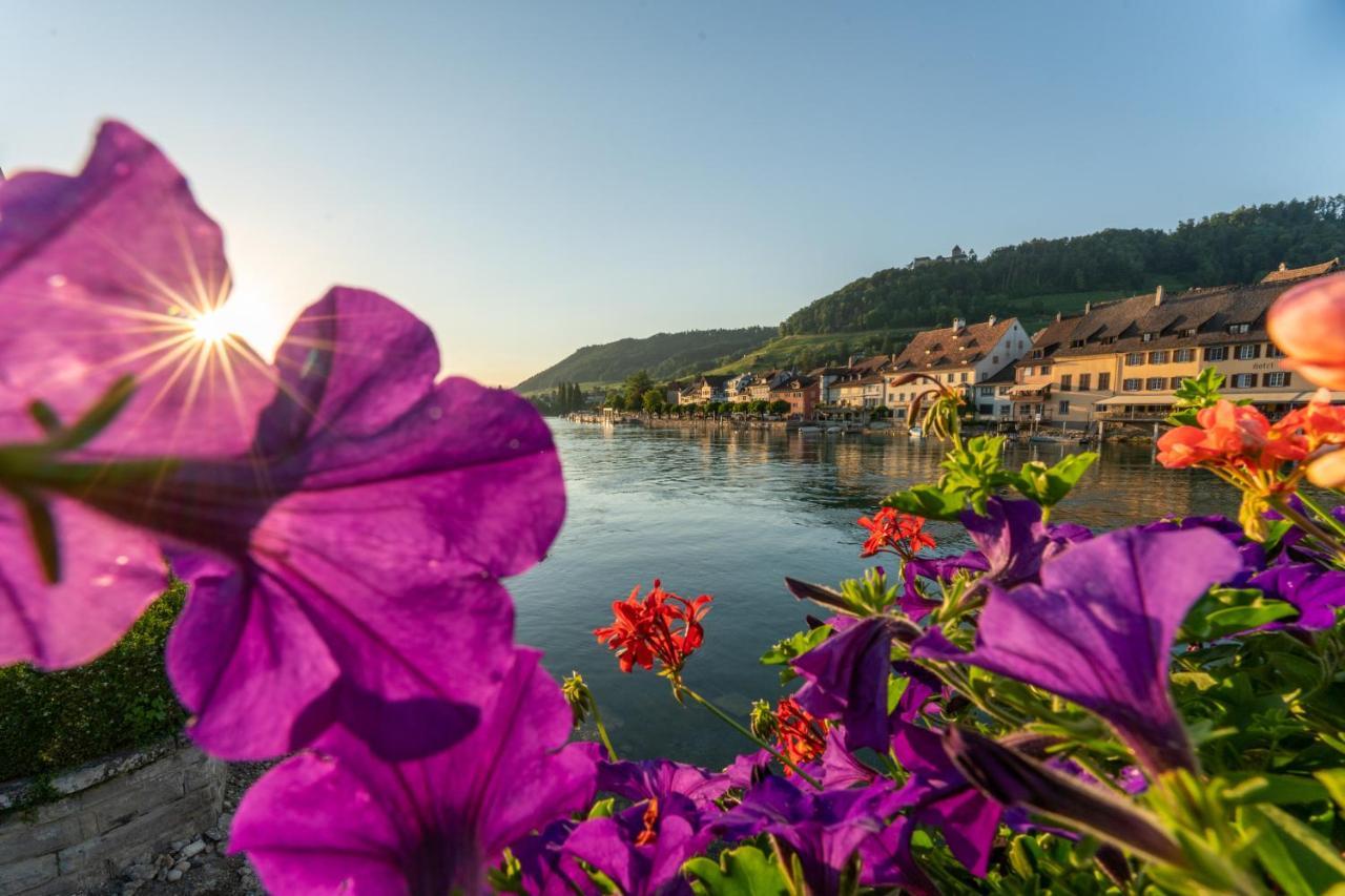 Hotel Rheingerbe Stein Am Rhein Εξωτερικό φωτογραφία